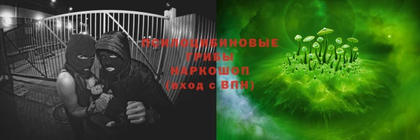 эйфоретик Баксан