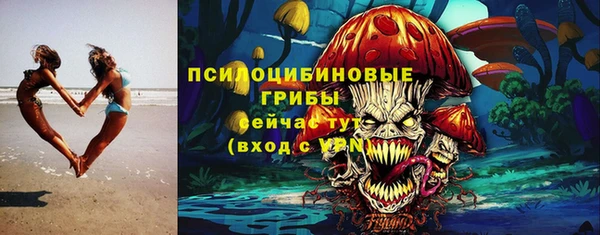 эйфоретик Баксан