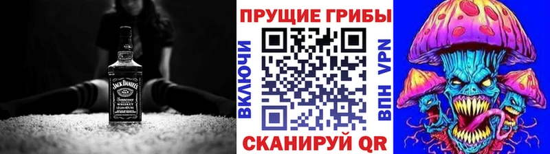 Псилоцибиновые грибы GOLDEN TEACHER  цены   Суджа 